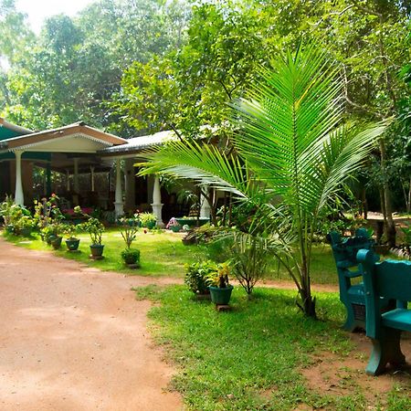 Sigiri Lodge Sigiriya Buitenkant foto